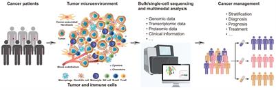 Editorial: Comprehensive profiling cancer immunity with multimodal approaches for clinical management